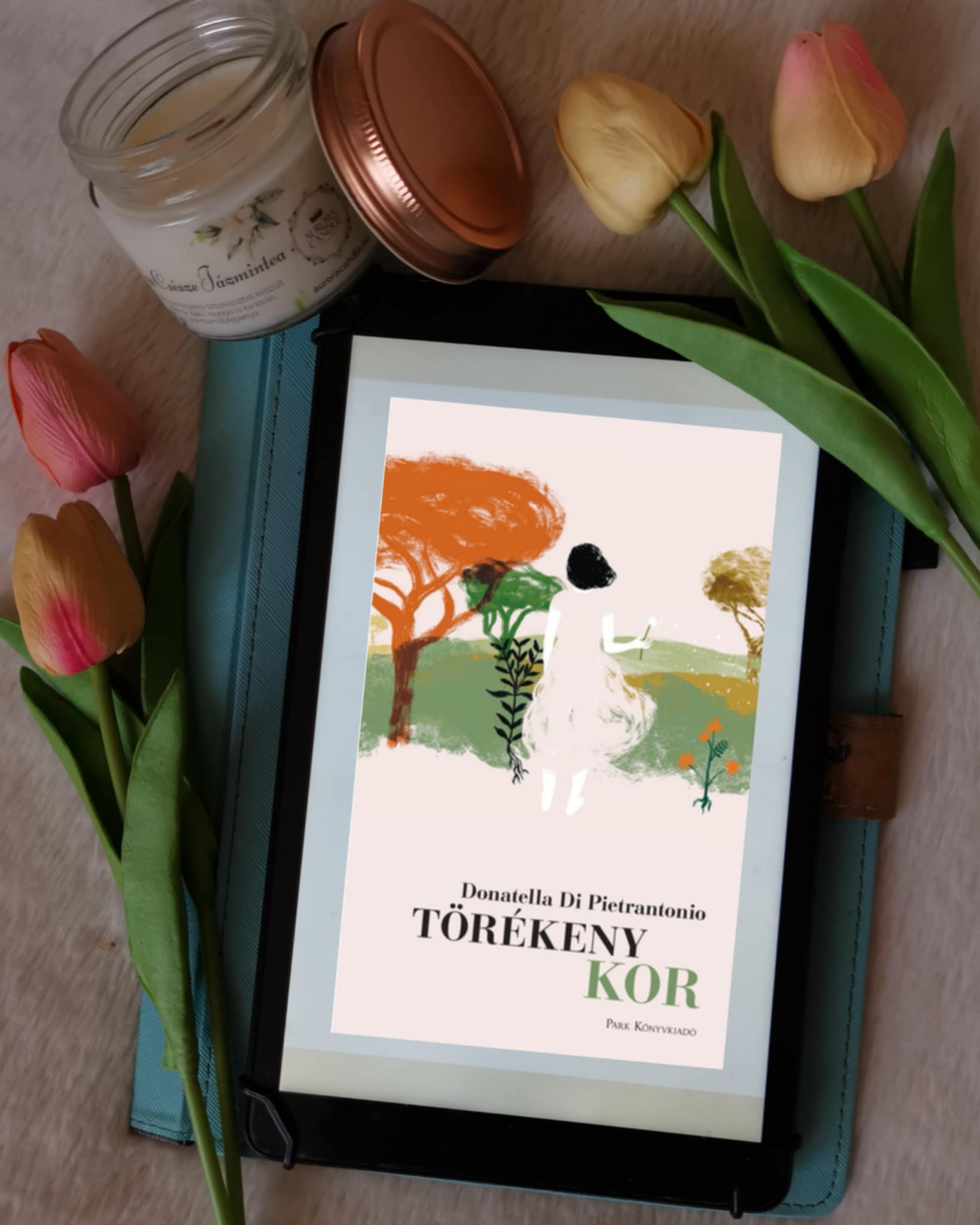 torekeny_kor.jpg