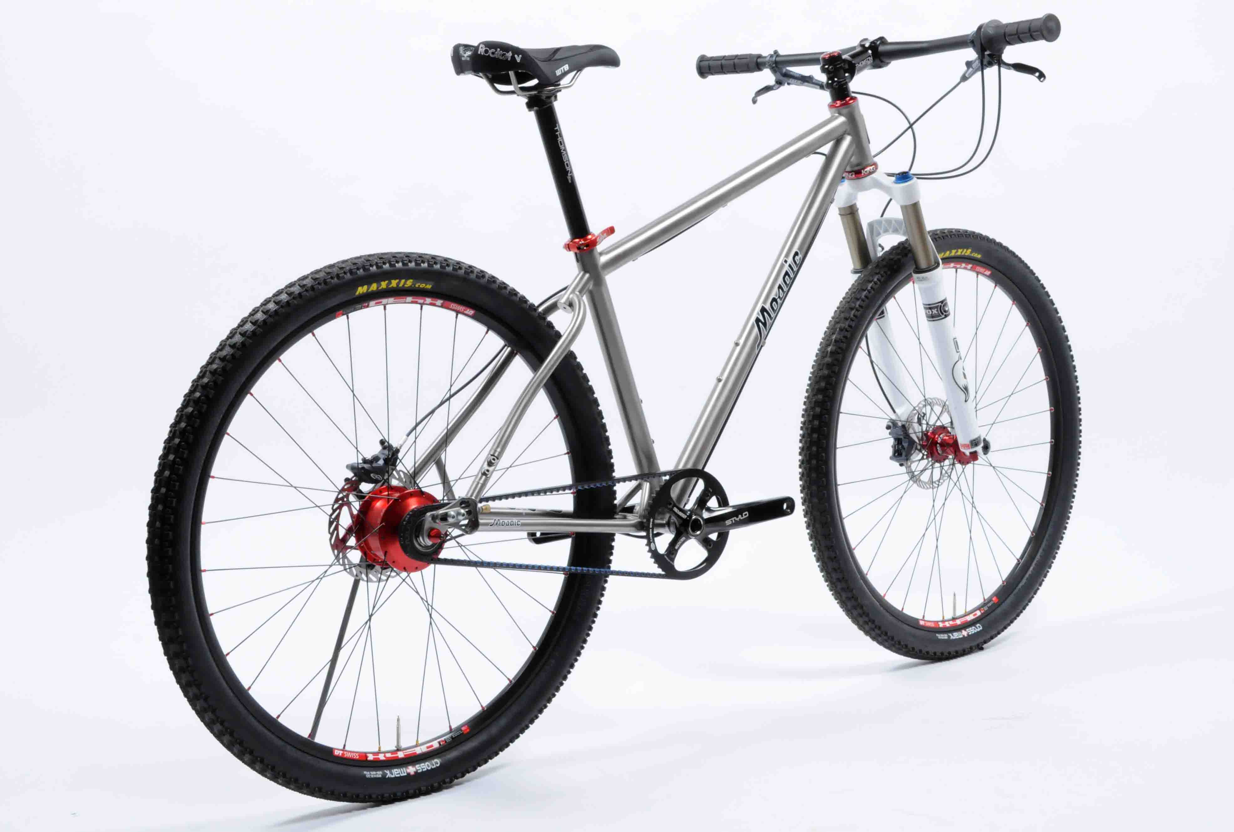 Rohloff-Ti-29er-_-Drive-Side-angled.jpg