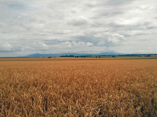 Mária Maraton 11 nap Máriabesnyő/Gyöngyös
