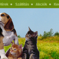 Miért jó az internetten vásárolni?