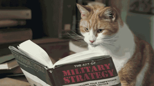 cat-militaategy.gif