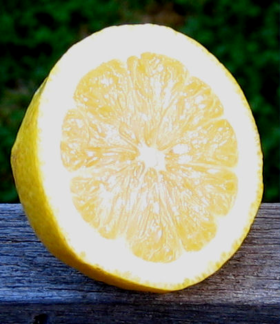citrom.1.png