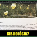 BIBLIOLÓGIA