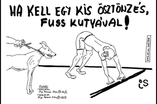 2016 - Május - karikatúrák (11db)
