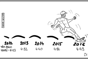 2016 - November - karikatúrák (15db)
