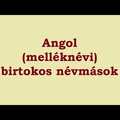 Angol melléknévi birtokos névmások (egyszerű gyakorlósor) (my, your, his, her, our, your, their) (videó)