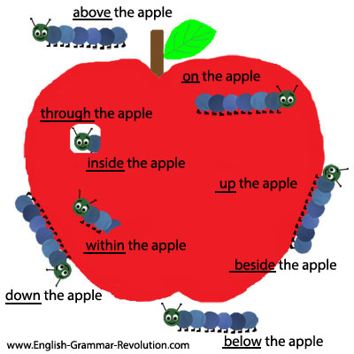 apple_caterpillar_preposition_smaller.jpg