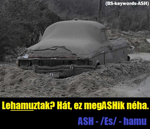 ash_1.jpg