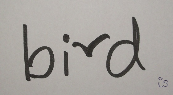bird.jpg