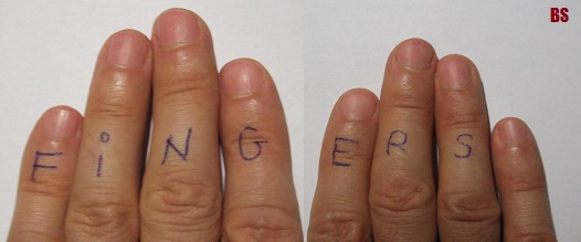 fingers.jpg