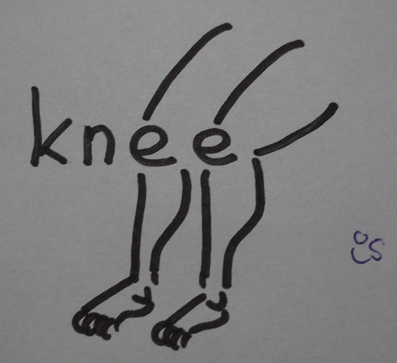 knee.jpg