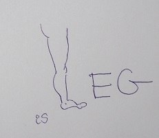 leg.jpg