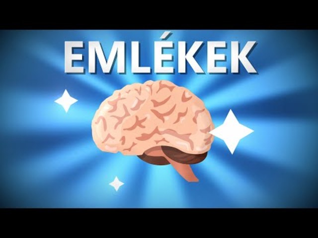 09. Magasabbrendű idegi tevékenységek + humánetológia