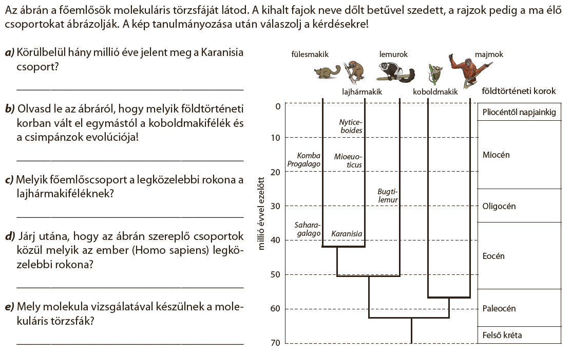 evolu.png