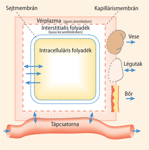 folyadektereink.png