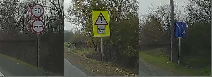 kozle3.jpg