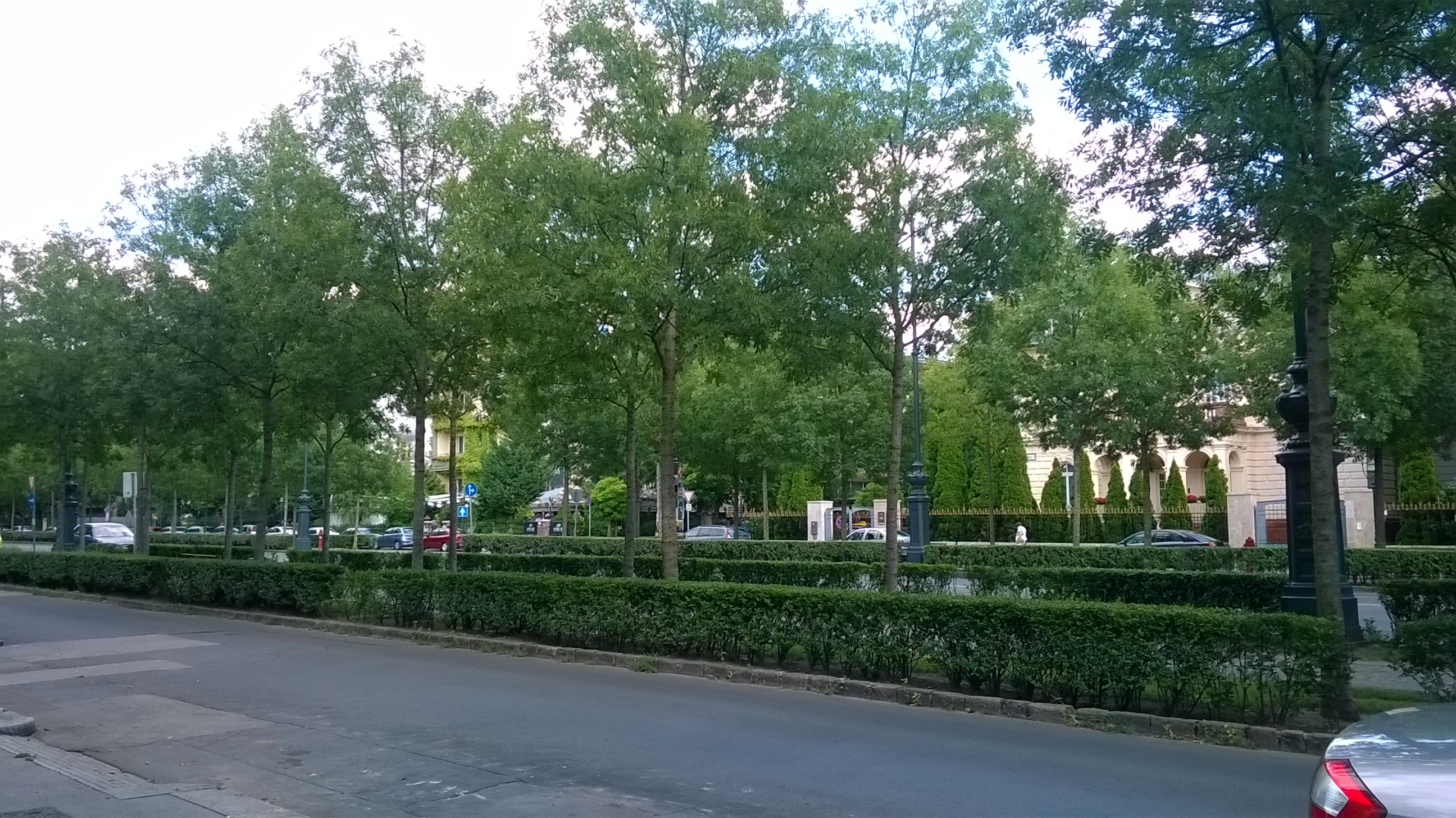 wp_20160812_016.jpg