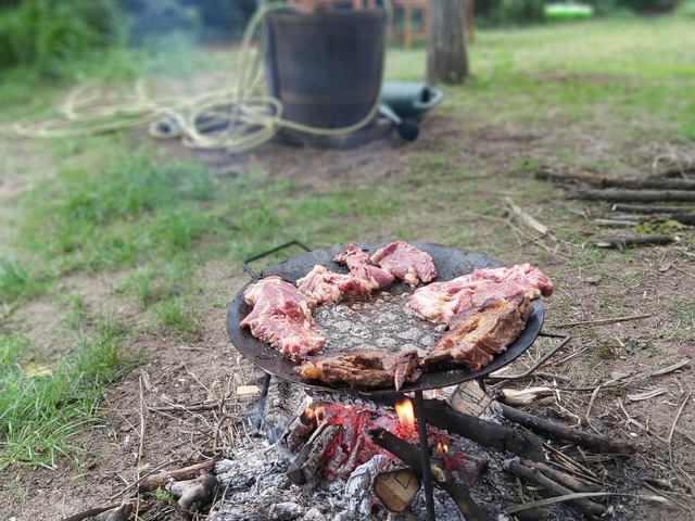 Frying in a Part of a Disc Harrow