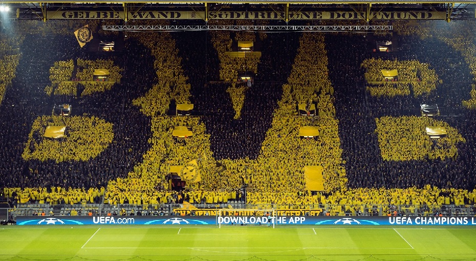 bvb1.jpg