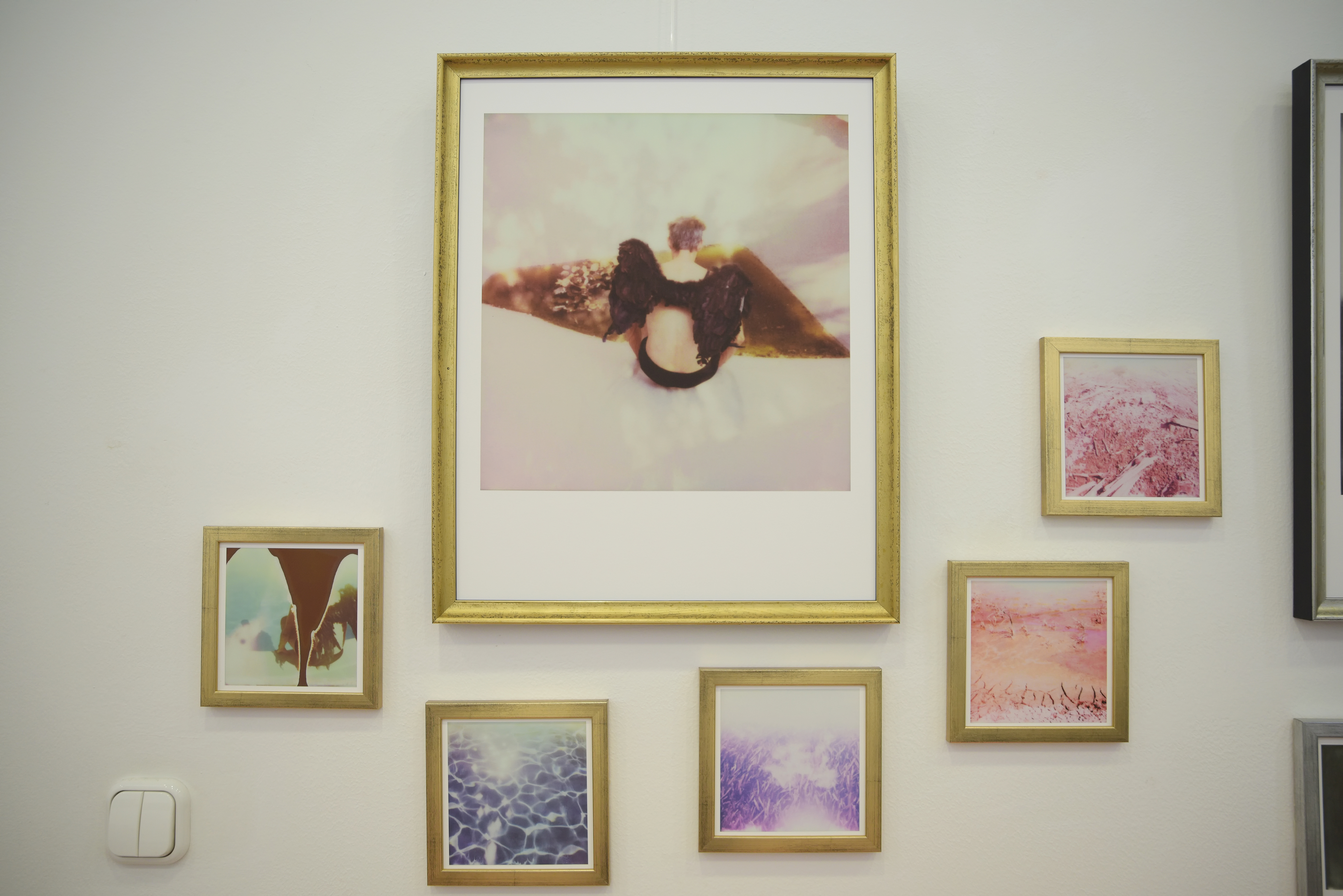 rozsa_tamas_polaroid_dsc_3555.jpg