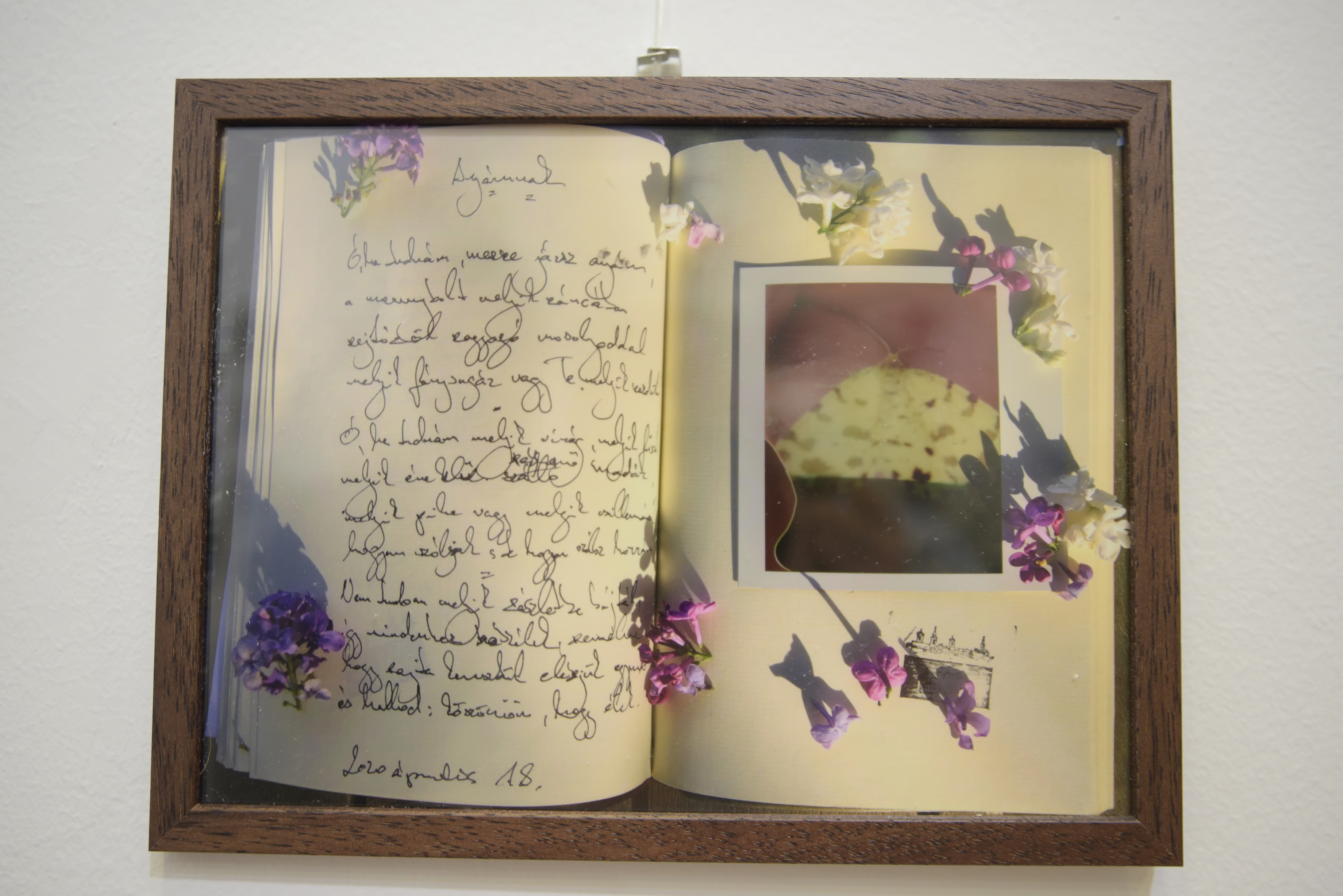 rozsa_tamas_polaroid_dsc_3567.jpg