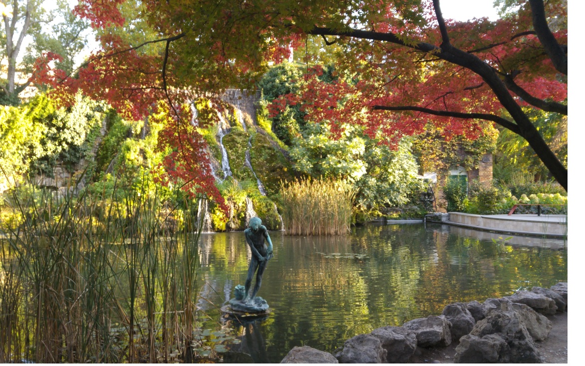 Japanese Garden 