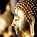 A buddhista gazdaságtan gyakorlatba való átültethetőségének elméleti kérdései