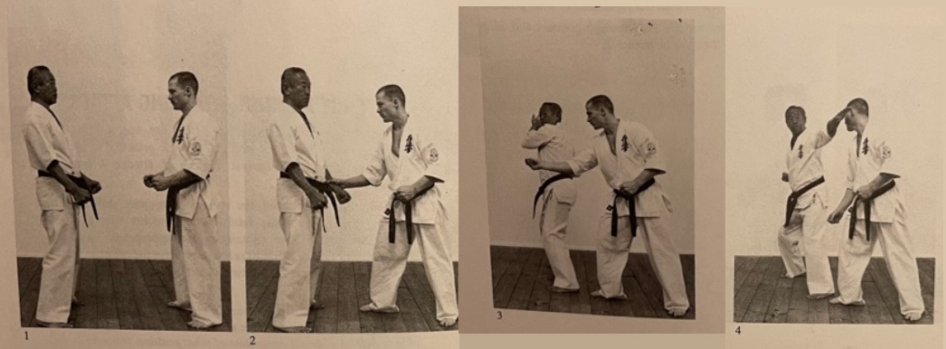 tehodoki_kyokushin.jpg