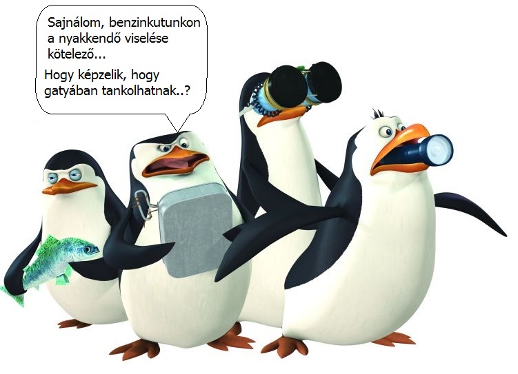 130219_madagaszkar.jpg