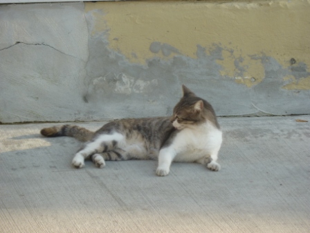 P1140773.JPG