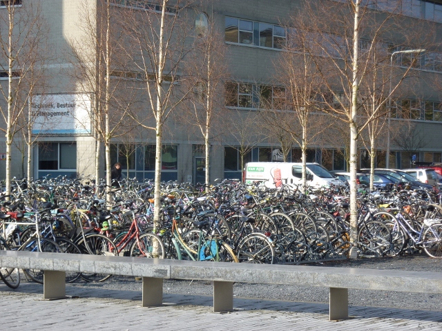 P1150433 (640x480).jpg