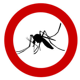 szunyog.png
