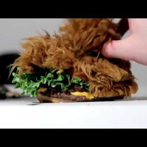 A Chewbacca burger