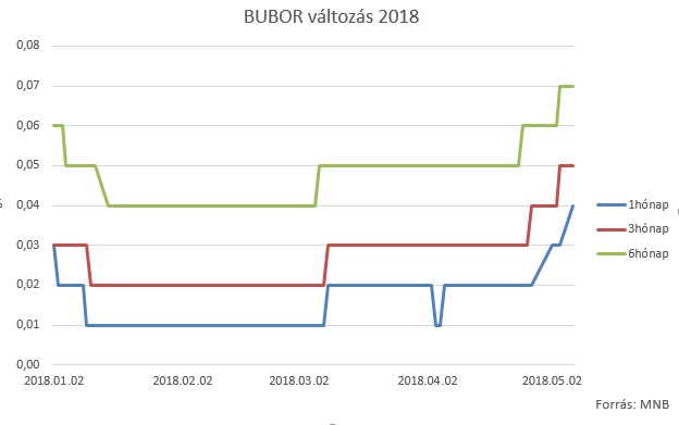 bubor_2018.jpg