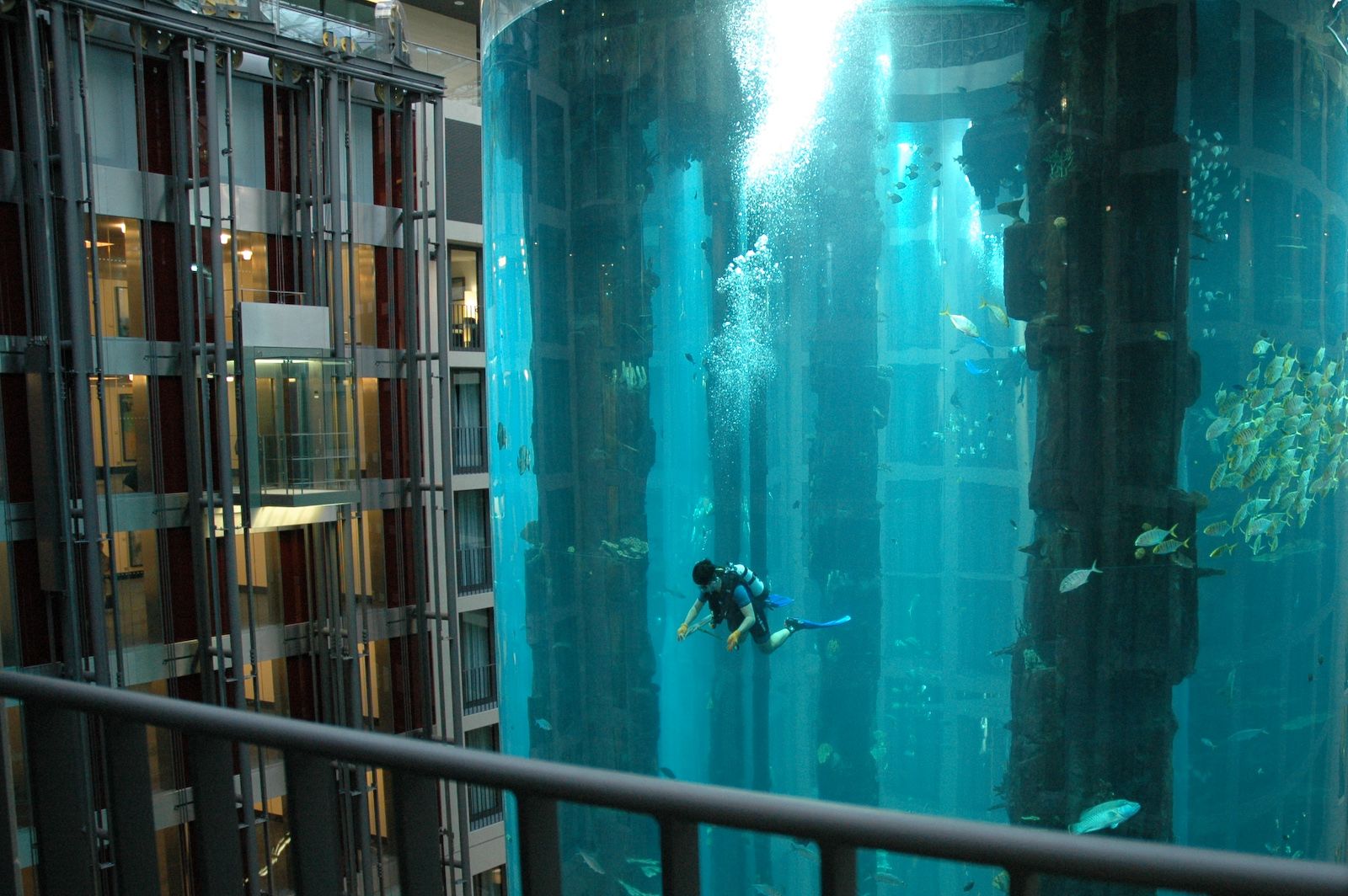 aquadom-radisson-blu-hotel-berlin-river-spree-atlantic-ocean-aquarium-huge-2.jpg