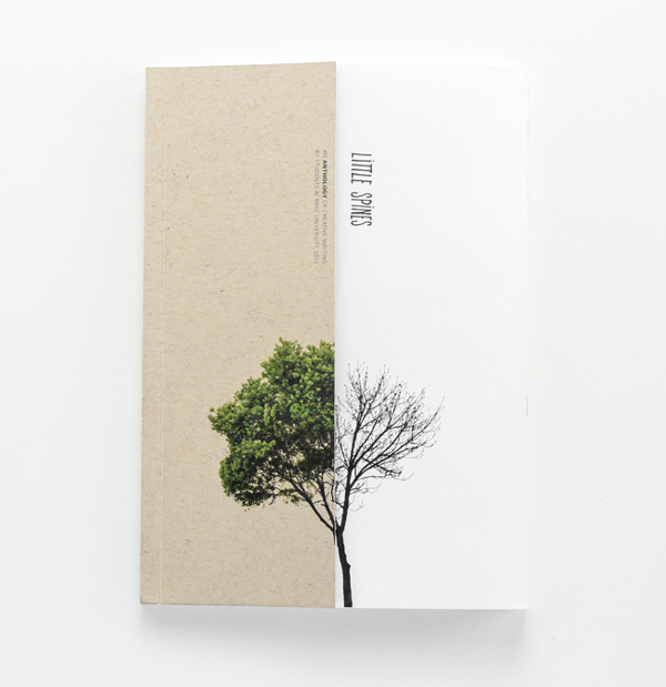 book-cover-designs-24.jpg