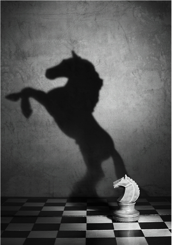 horse-shadow.jpg