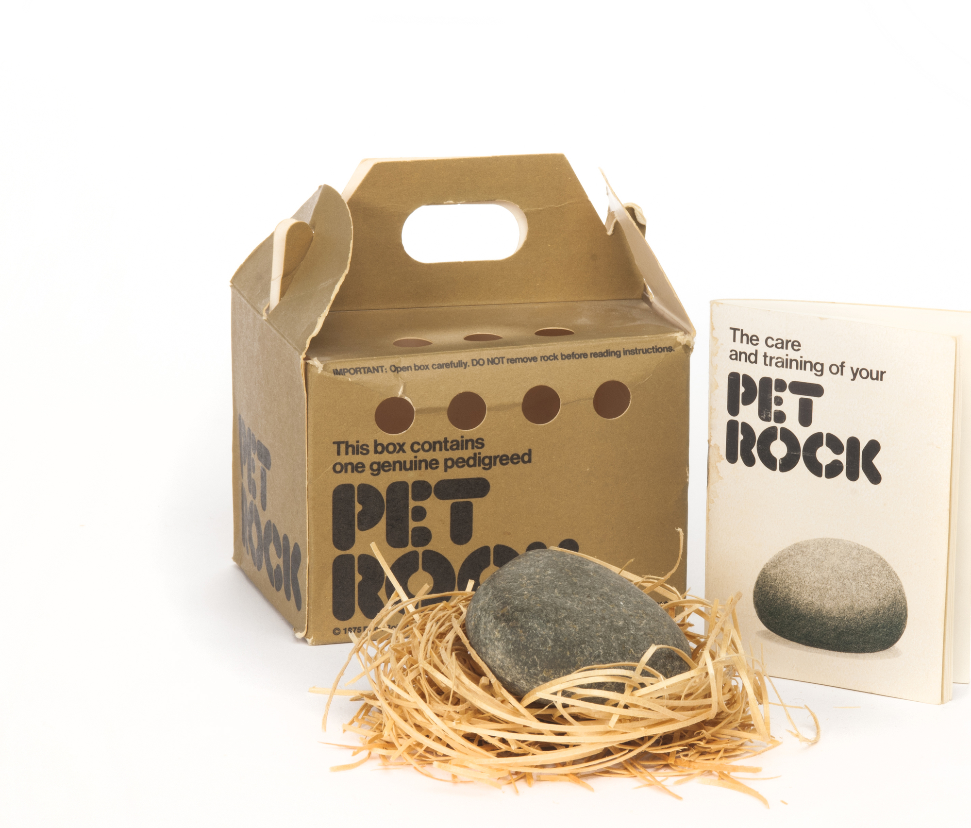 pet-rock.jpg