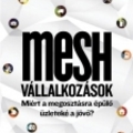 Lisa Gansky: Mesh vállalkozások