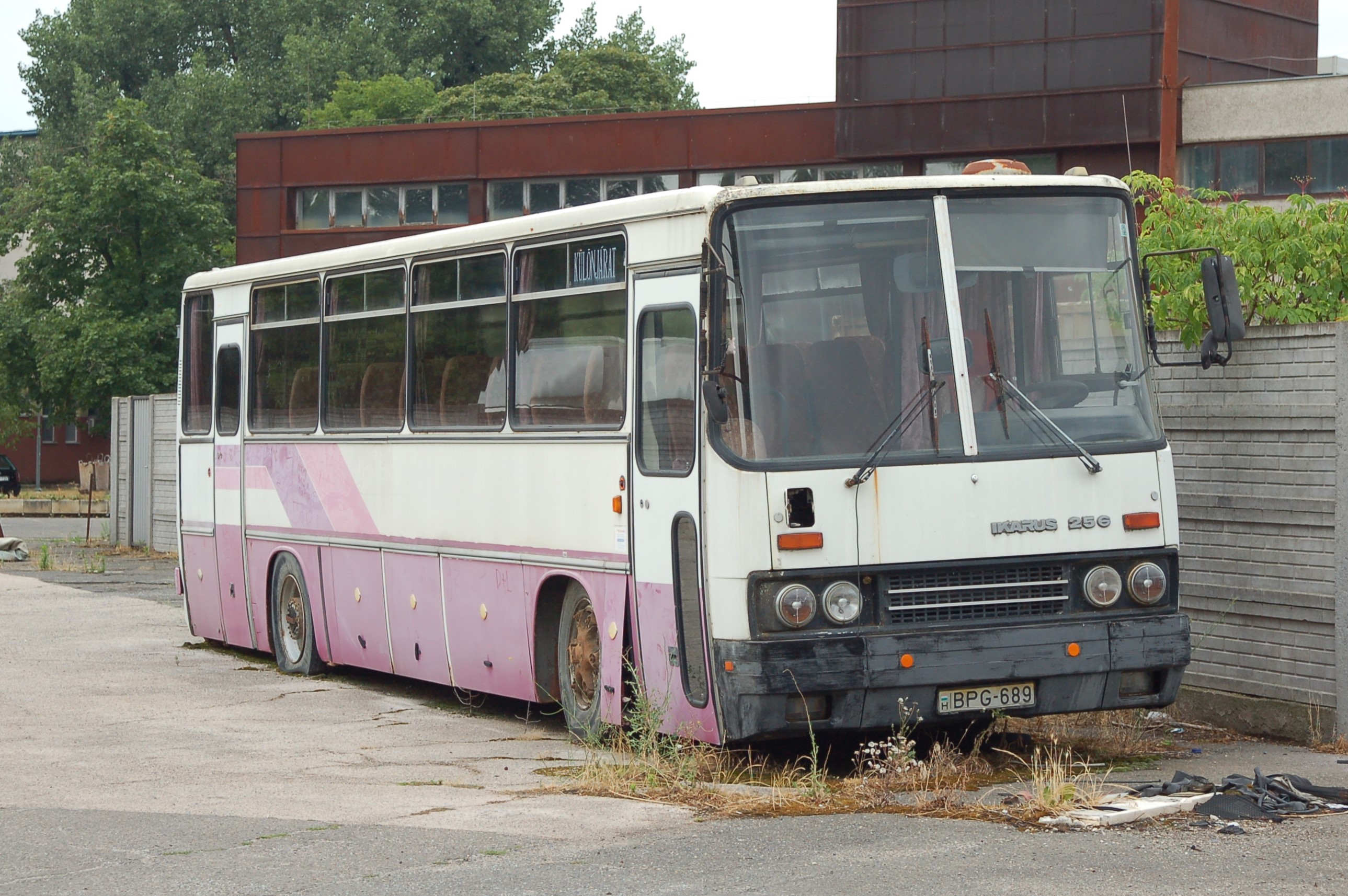 dsc_0029.JPG