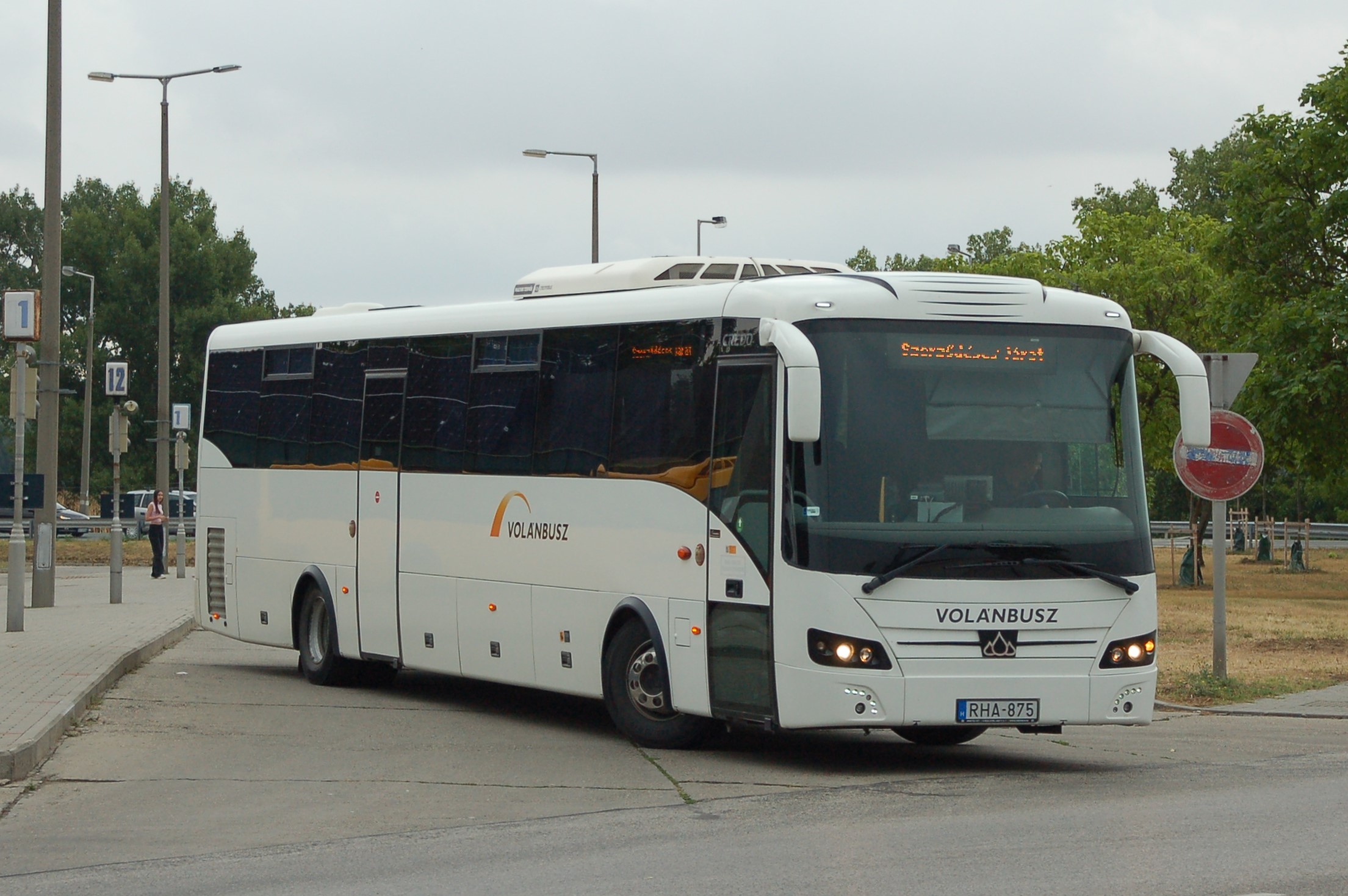dsc_0051.JPG