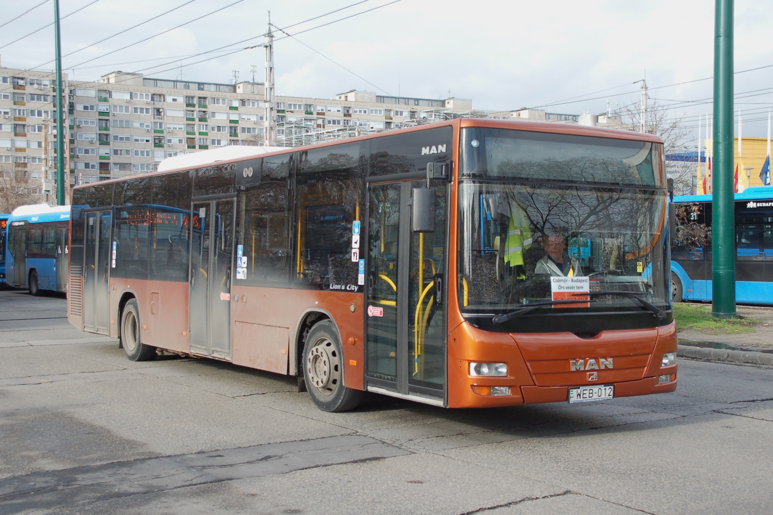 dsc_0162.JPG