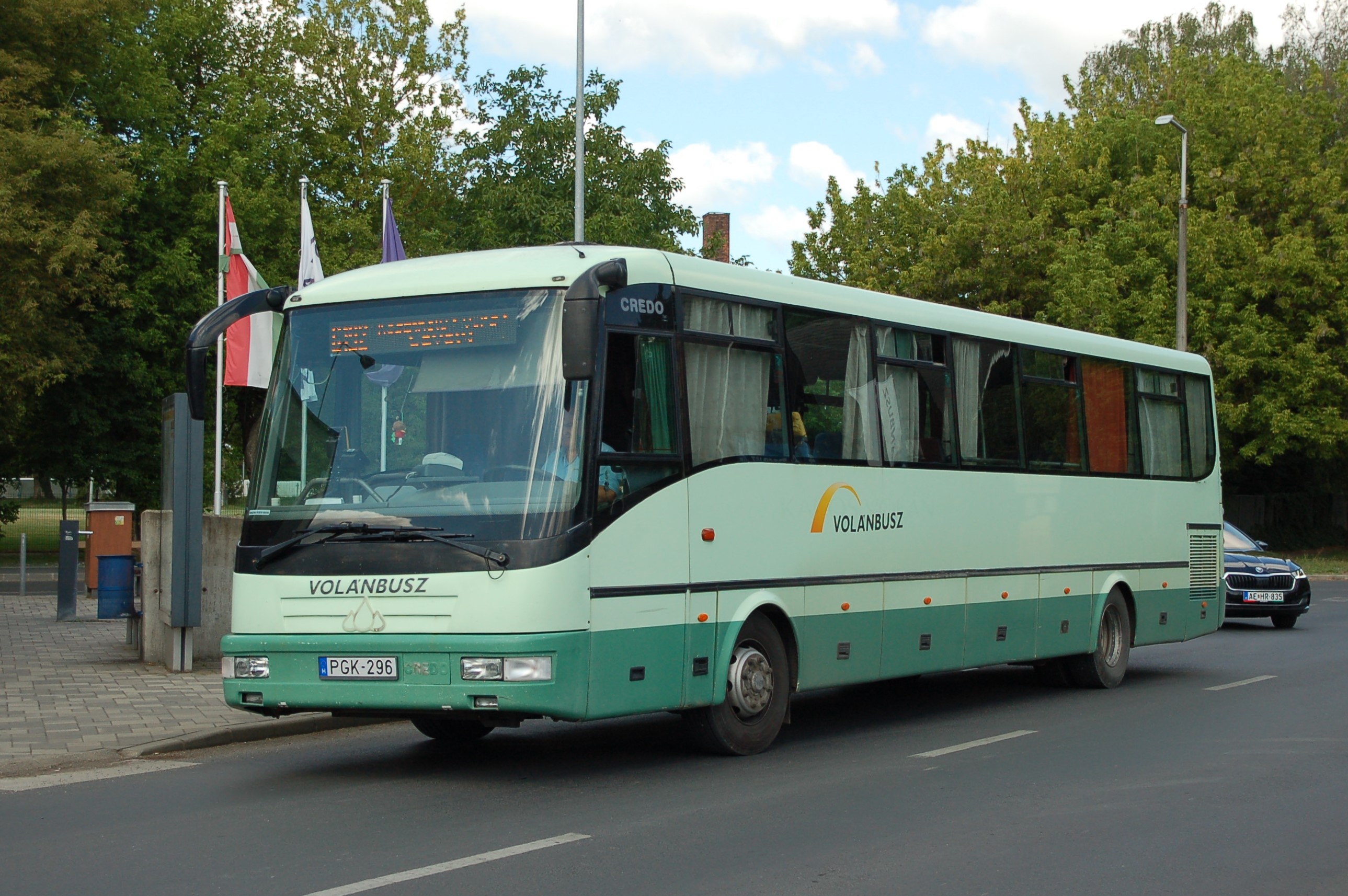 dsc_0169.JPG