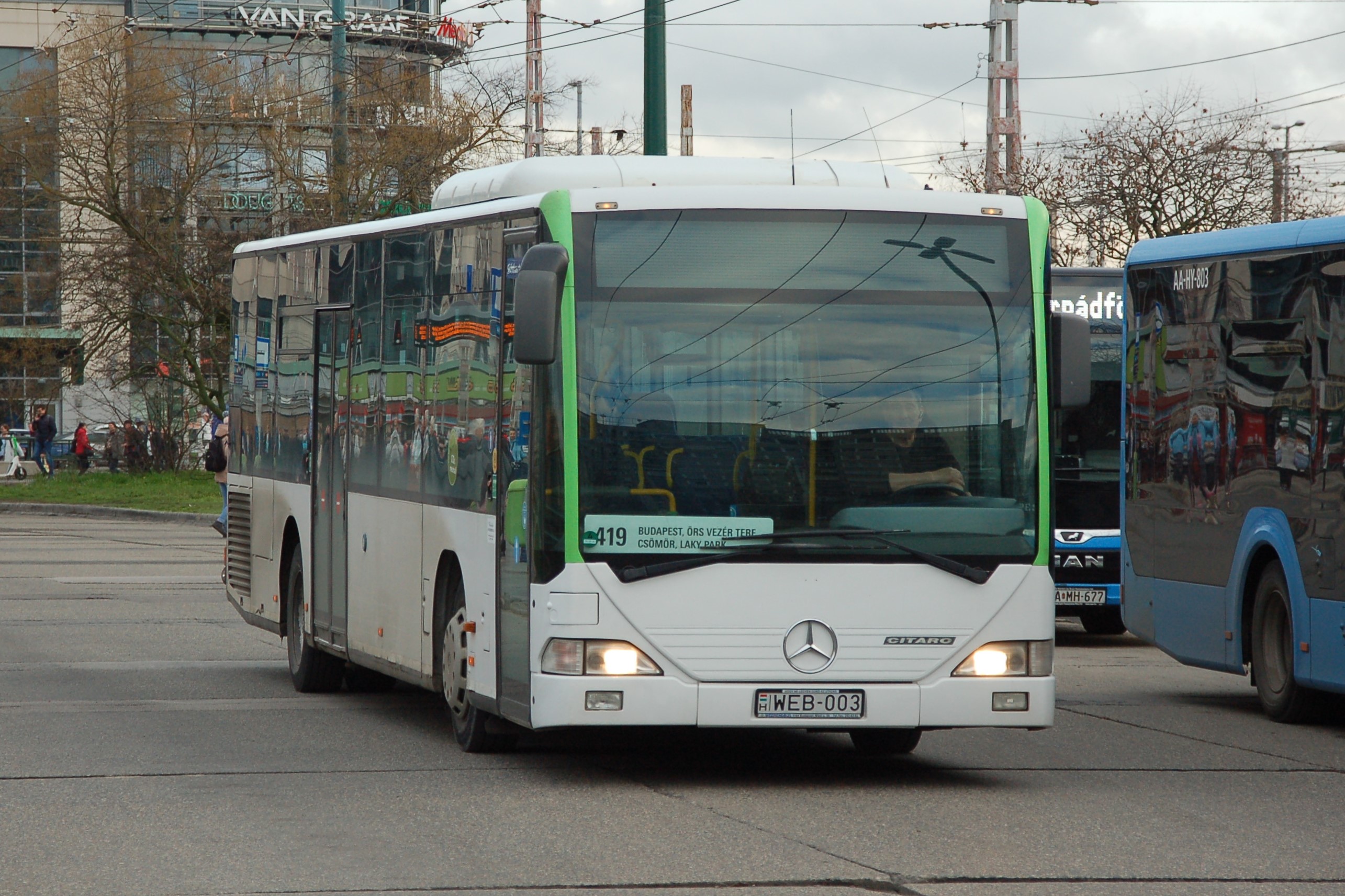 dsc_0201.JPG