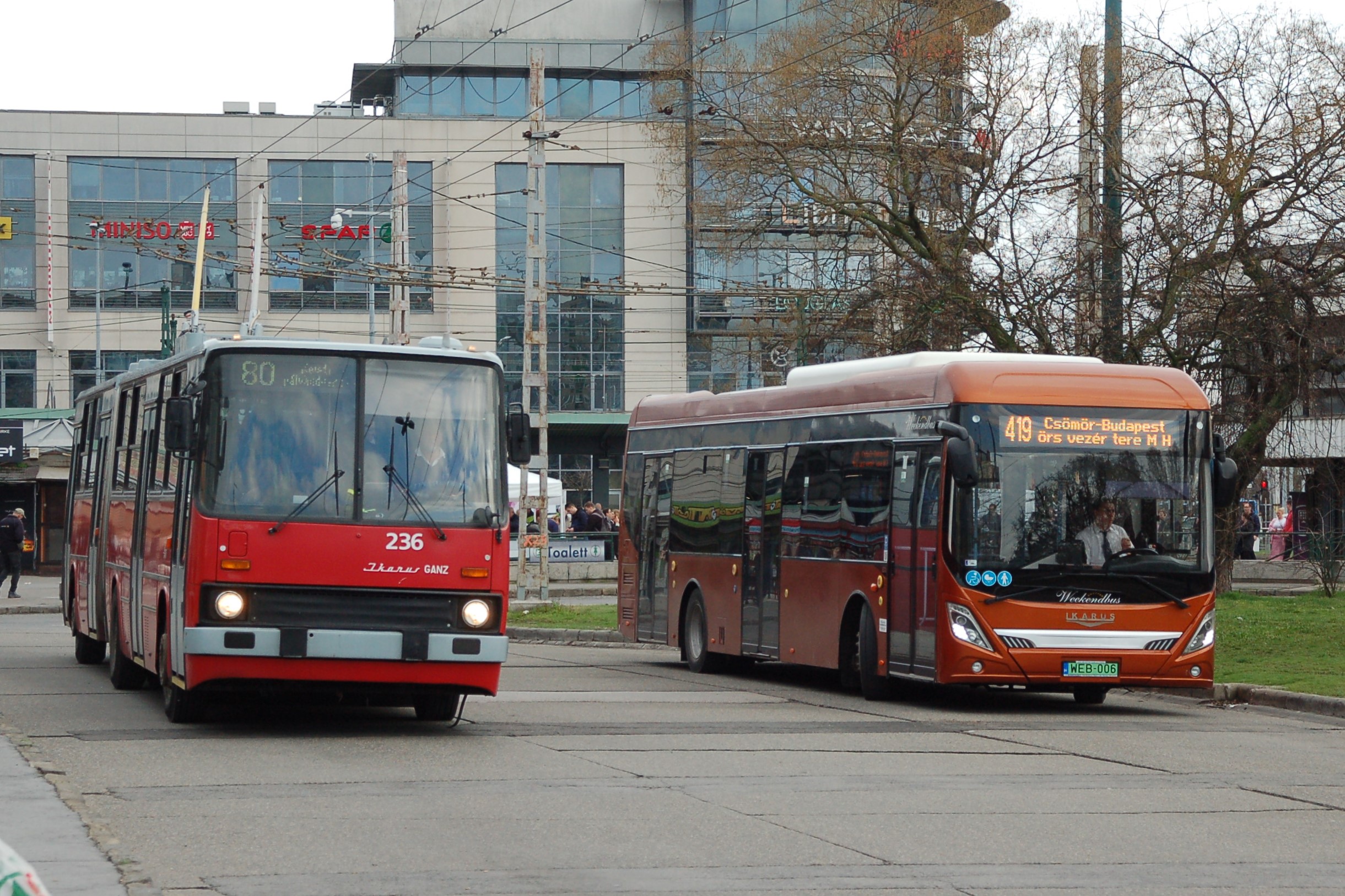 dsc_0206.JPG