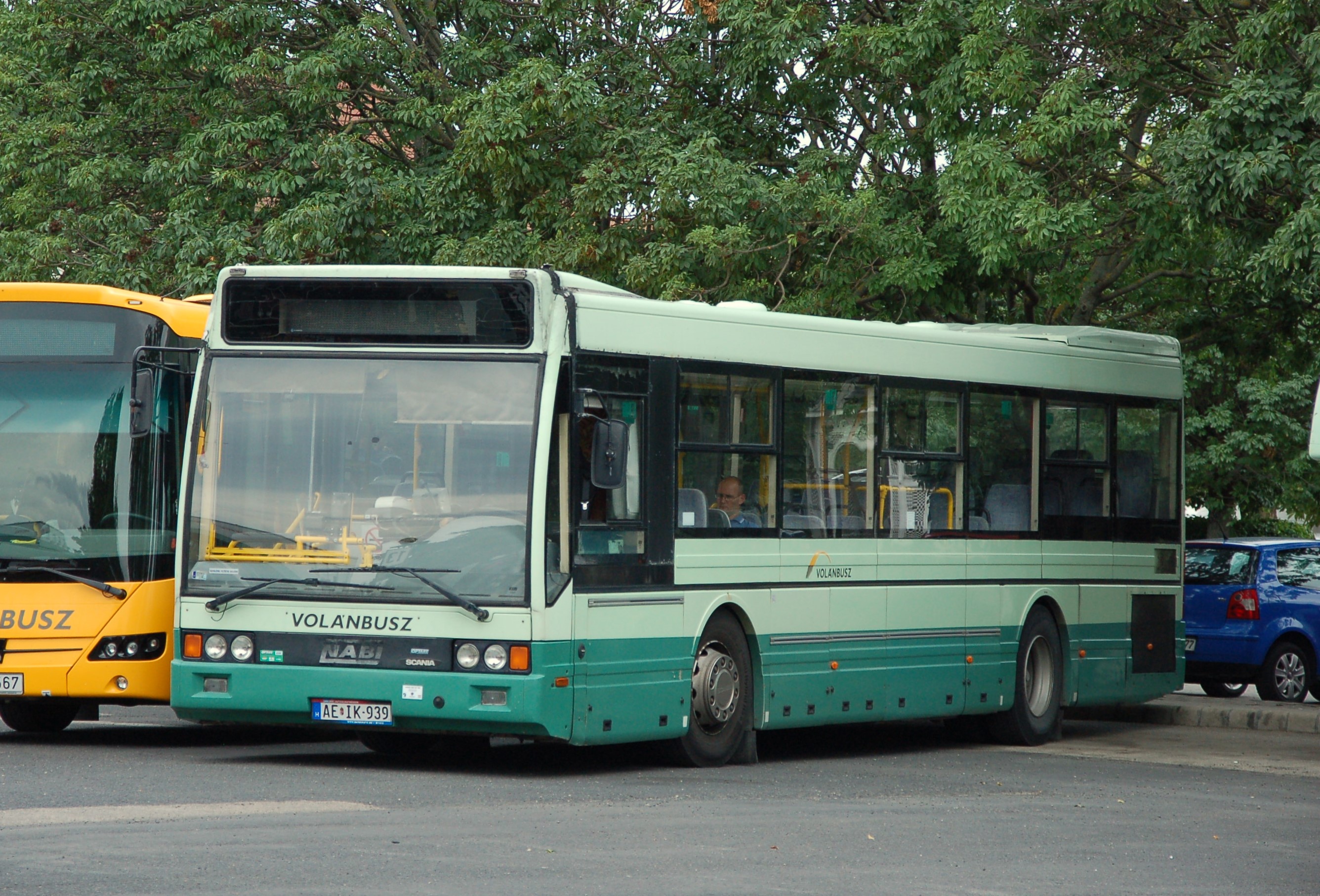 dsc_0255.JPG