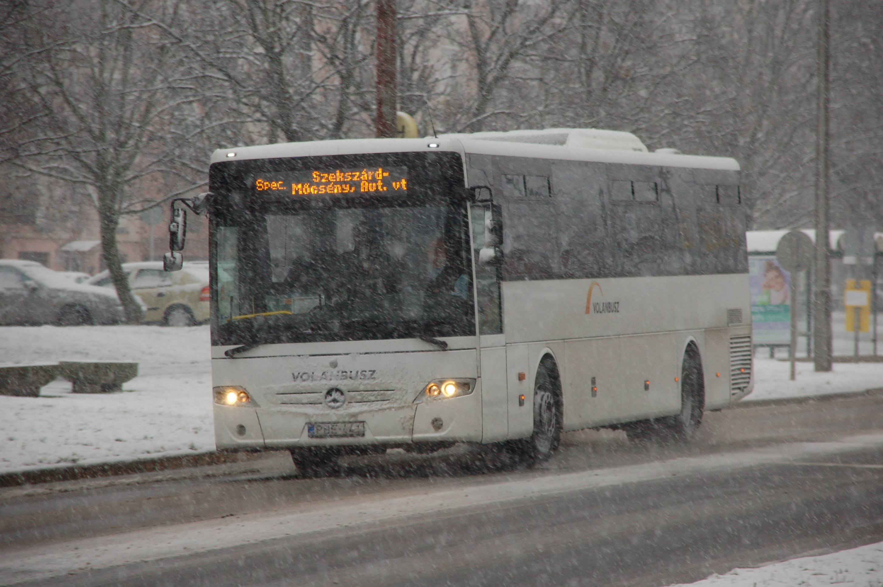 dsc_0294_1.JPG