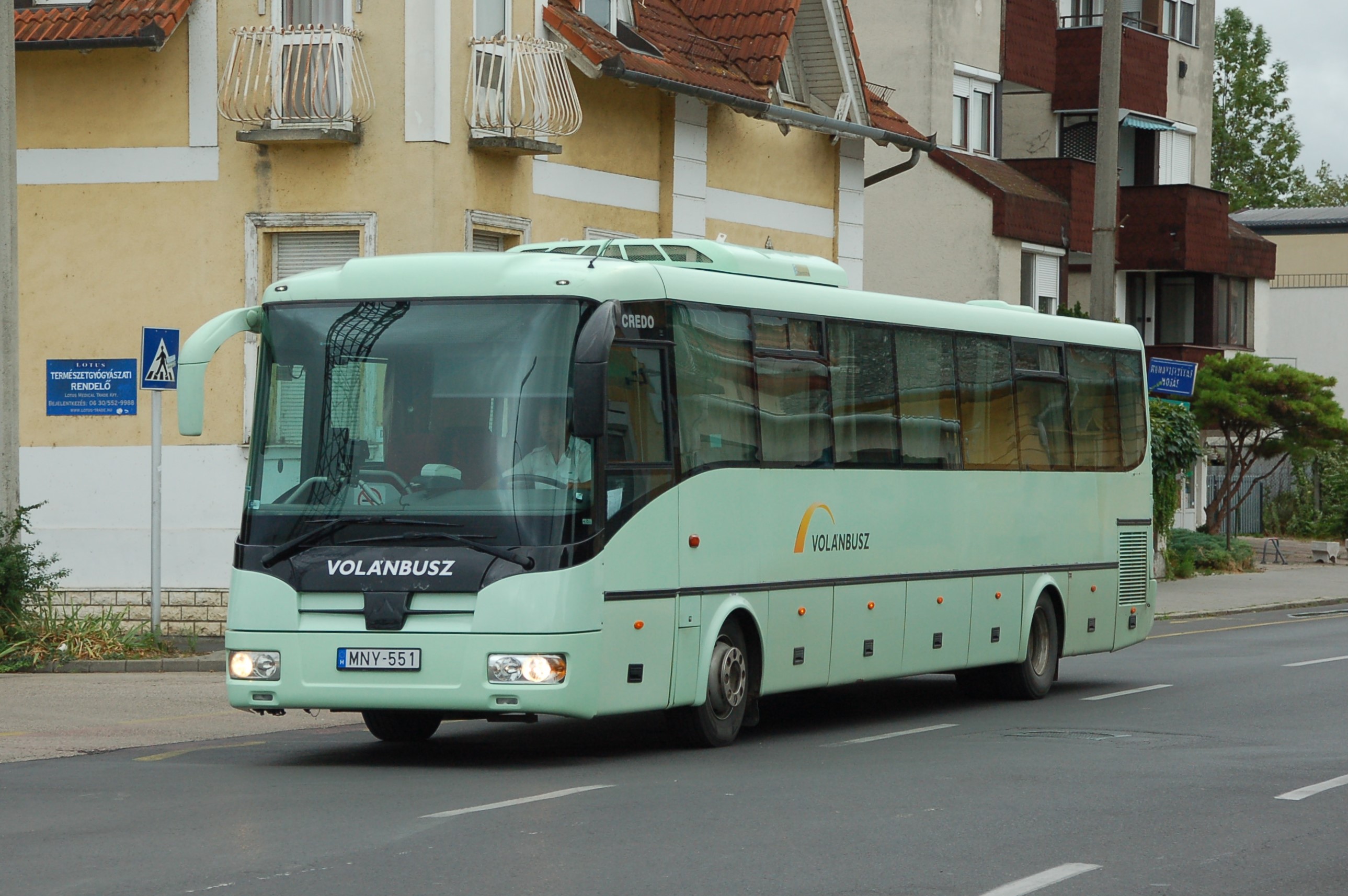 dsc_0356.JPG