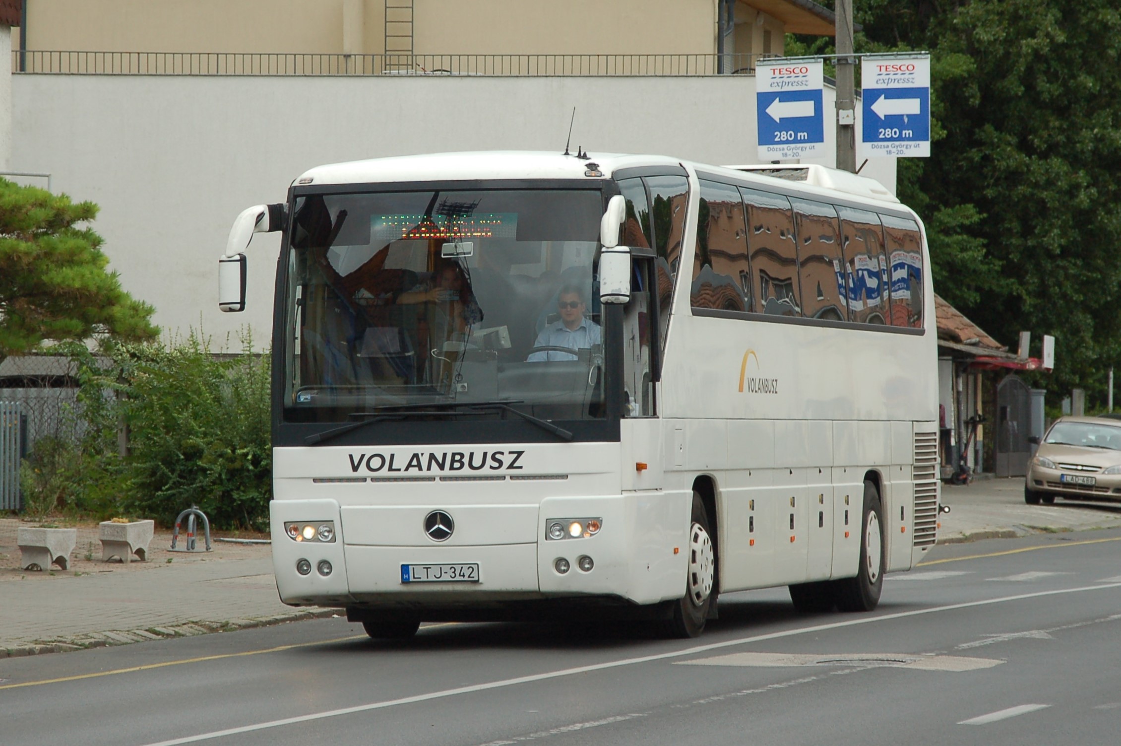 dsc_0365.JPG