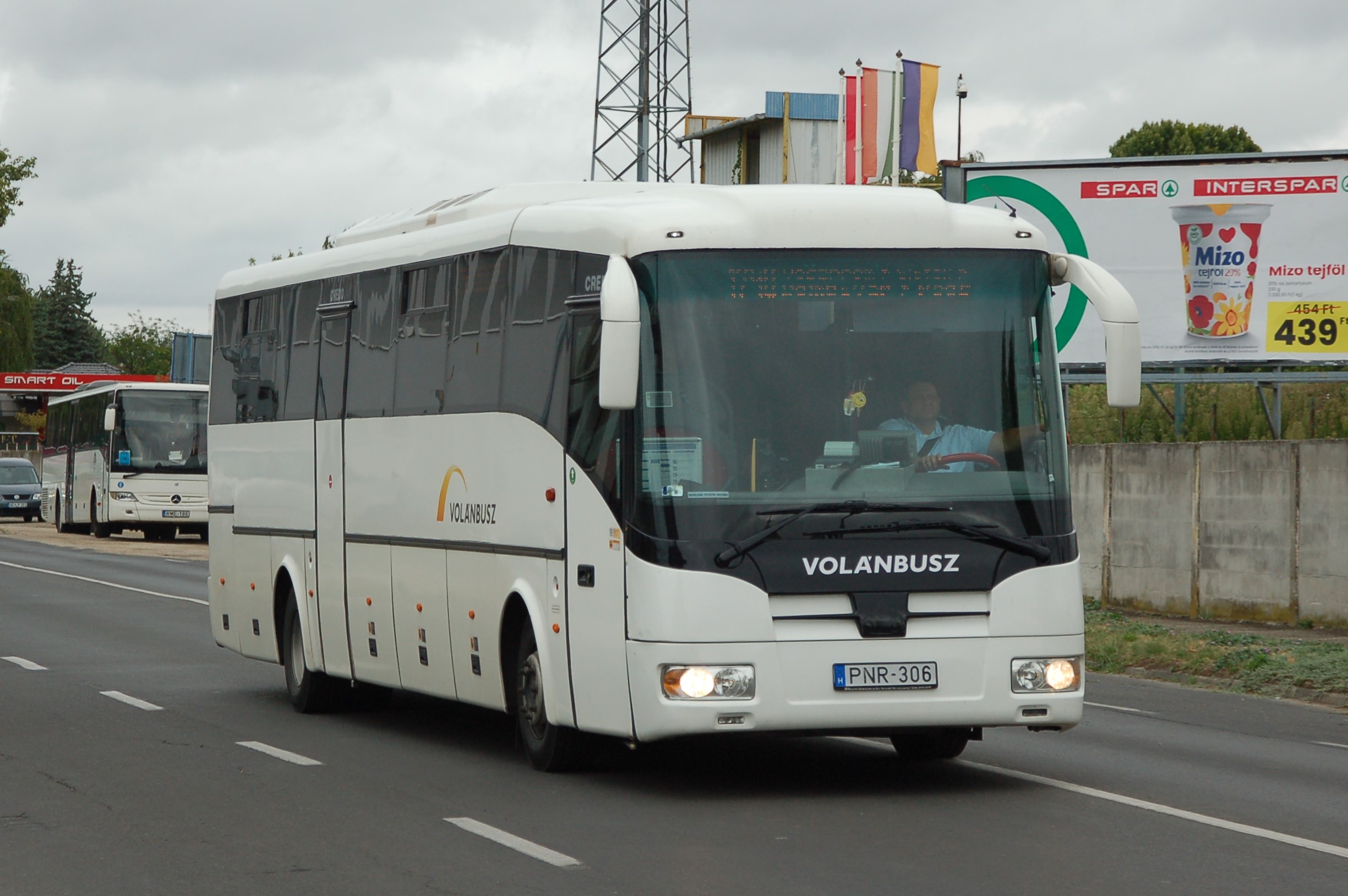 dsc_0376.JPG